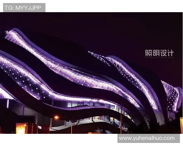 广州极限运动队的突破之路与嘉年华盛况全景回顾